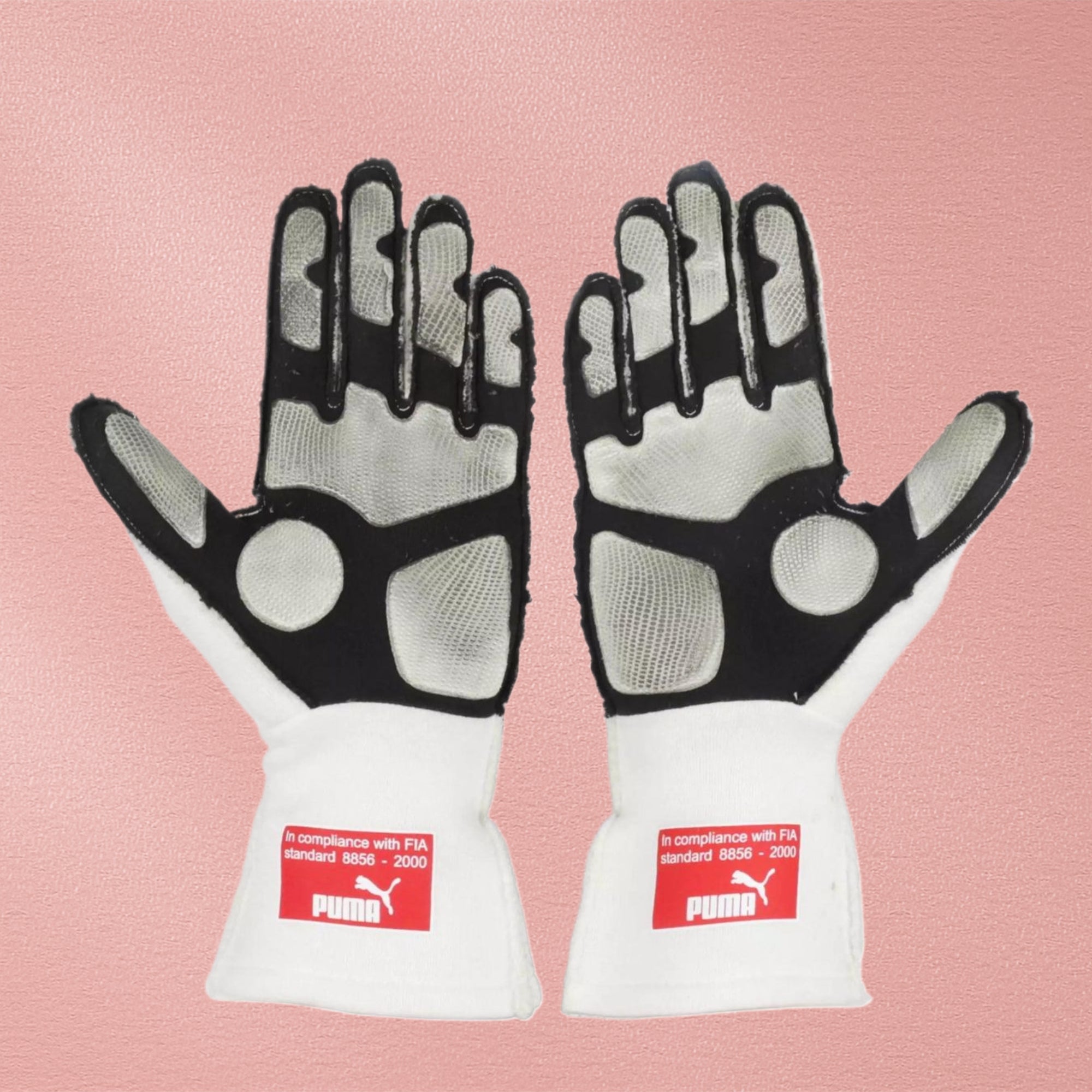 2010 Fernando Alonso F1 Race Gloves - Japanese GP