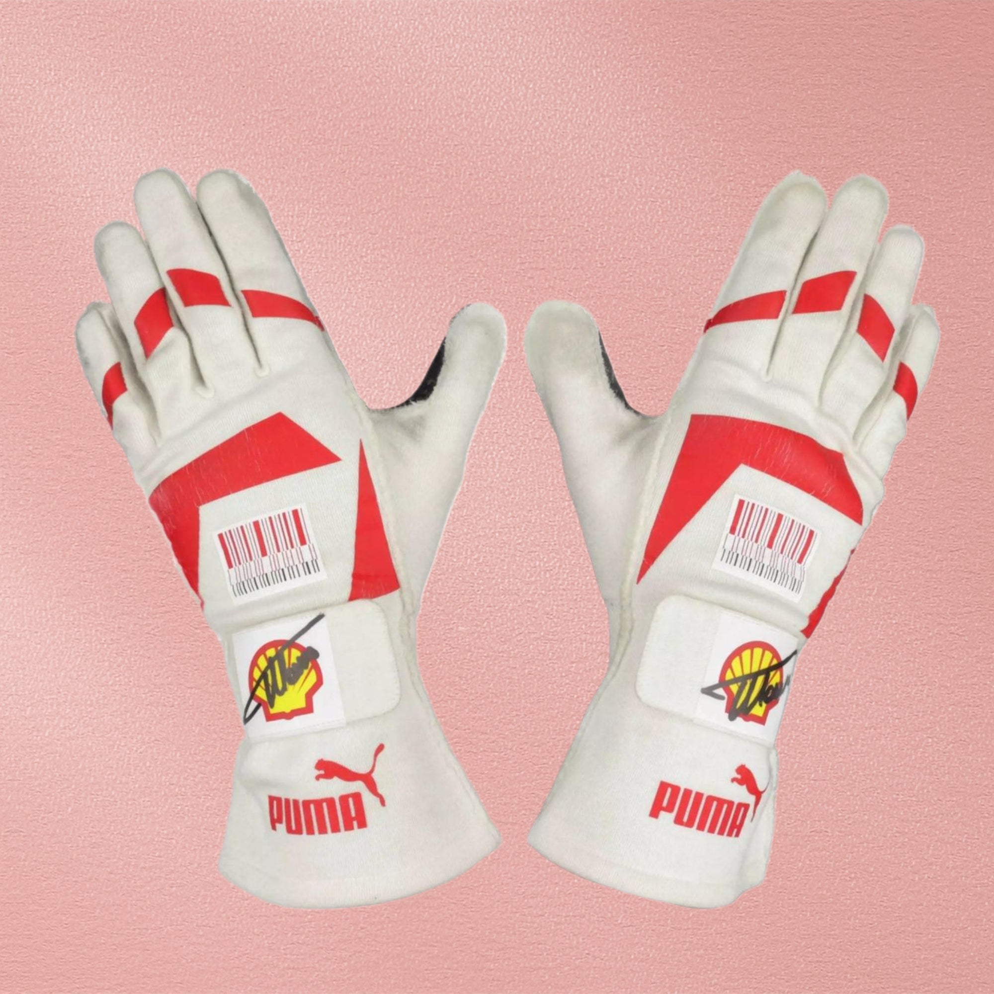 2010 Fernando Alonso F1 Race Gloves - Japanese GP