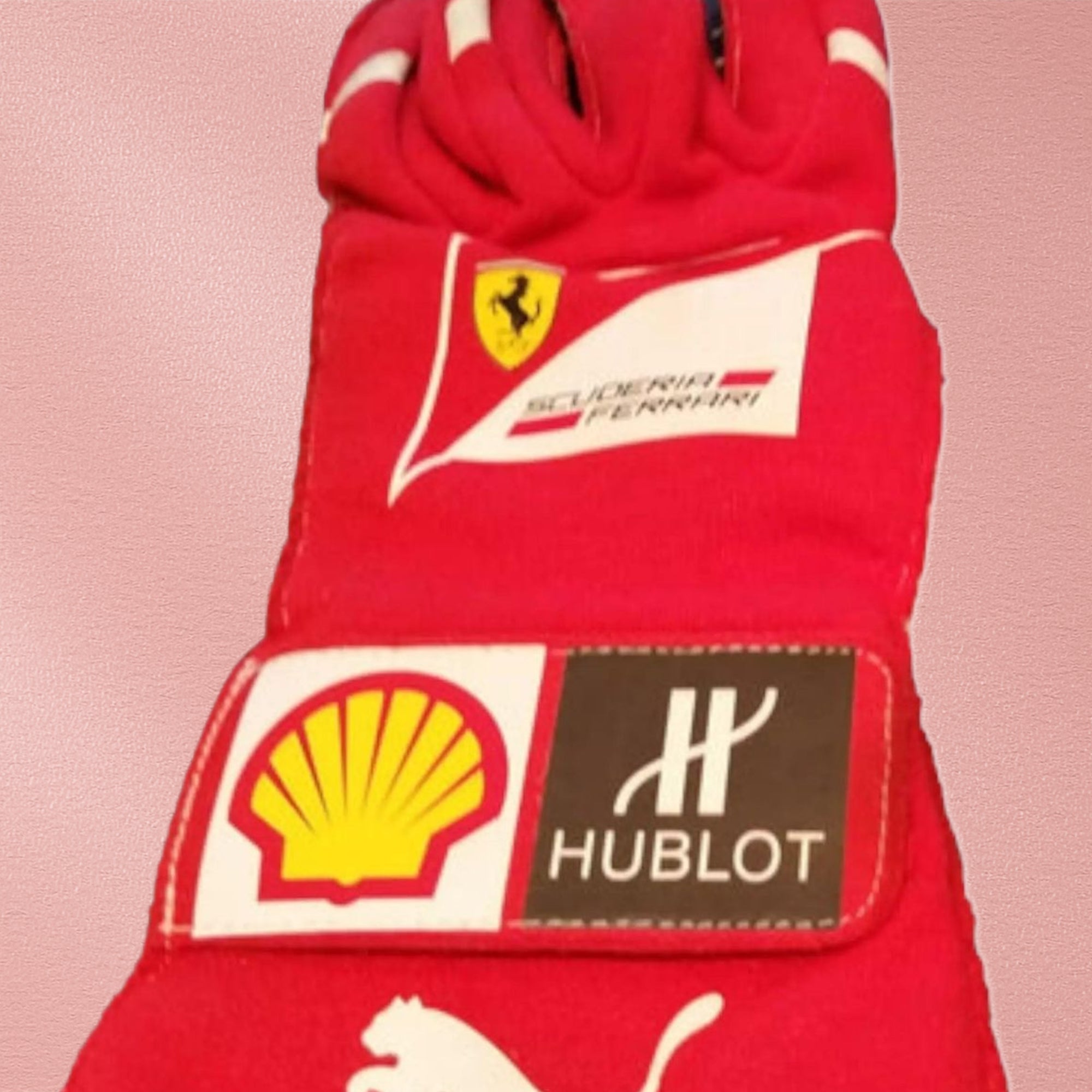 2014 Fernando Alonso gloves - Abu Dhabi GP