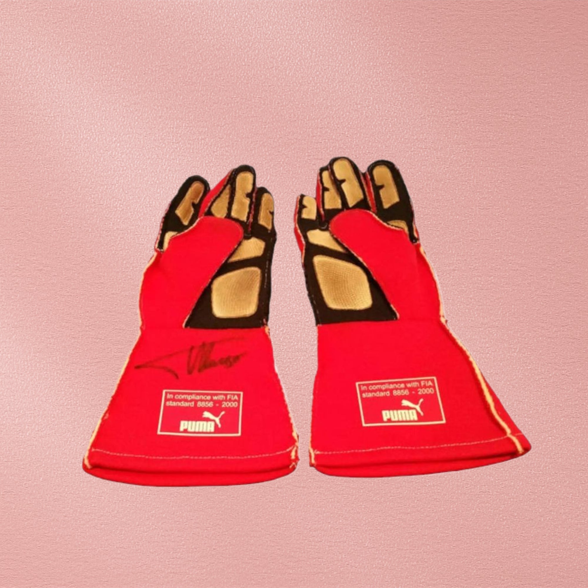 2014 Fernando Alonso gloves - Abu Dhabi GP