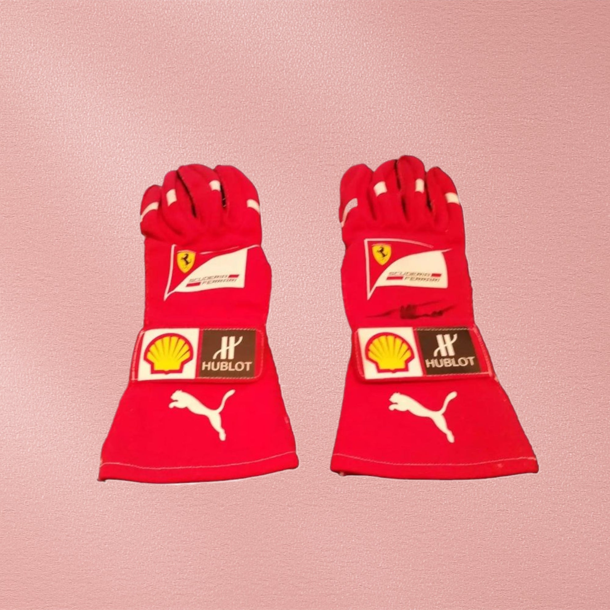 2014 Fernando Alonso gloves - Abu Dhabi GP