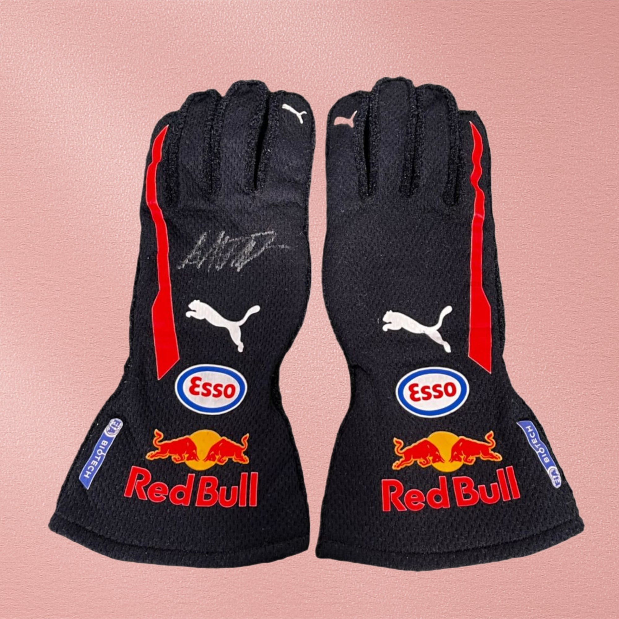 2020 Max Verstappen F1 Race Gloves