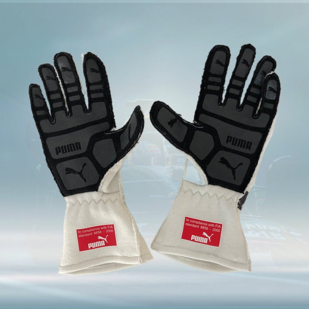 Lewis Hamilton 2017 Mercedes AMG F1 Racing Gloves