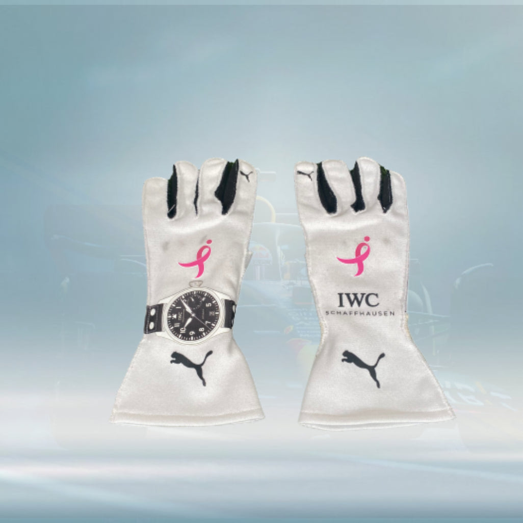 2017 Lewis Hamilton USA GP F1 Race Gloves
