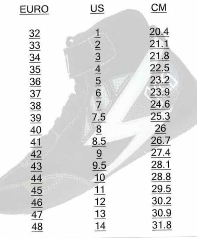 2017 Max Chilton Race Ganassi Racing IndyCar Boots